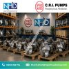 15 Máy khuấy chìm C.R.I. cho bể điều hòa